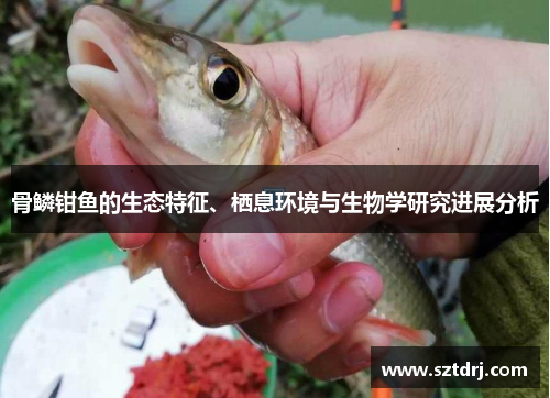骨鳞钳鱼的生态特征、栖息环境与生物学研究进展分析